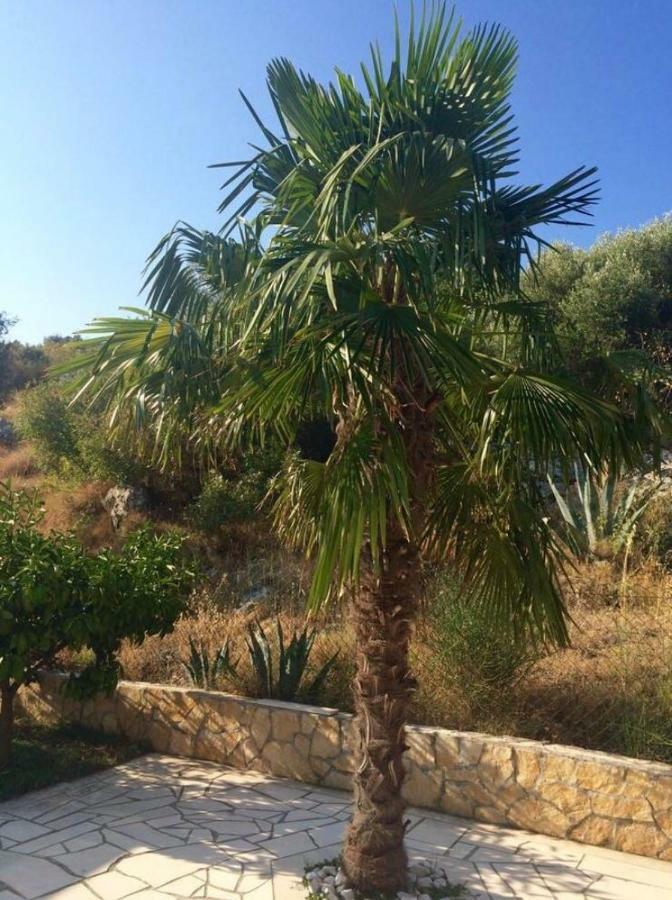 Villa Lavendel Trogir Exterior photo